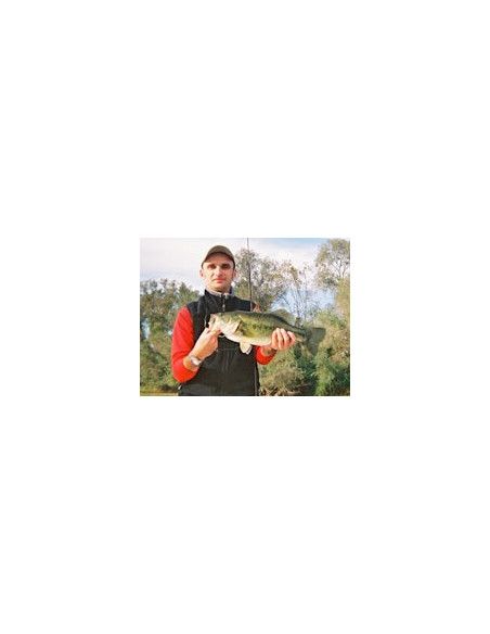 Rapala Leurres durs SKITTER POP - coloris FML - 7cm / 7g - profondeur de nage surface - 3
