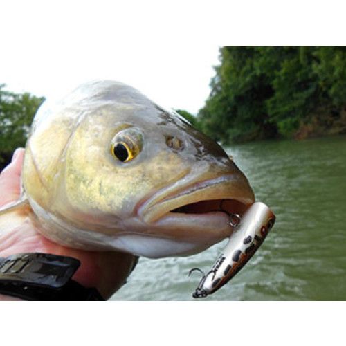 Rapala Leurres durs ULTRA LIGHT POP - Coloris GLTU - 4cm / 3g - profondeur de nage Surface - 3