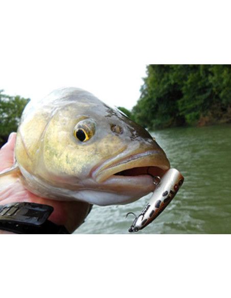 Rapala Leurres durs ULTRA LIGHT POP - Coloris GLTU - 4cm / 3g - profondeur de nage Surface - 3