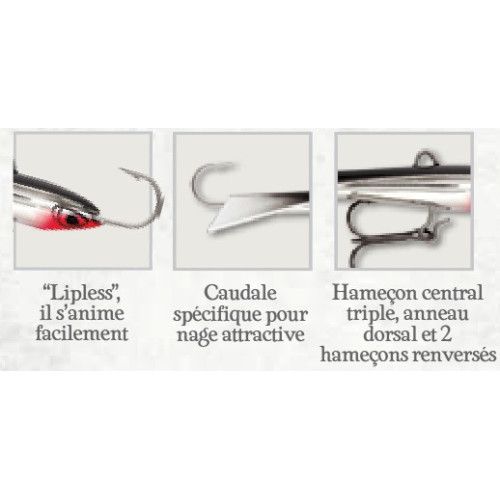 Rapala Jigs SNAP RAP - coloris - GYP - 6cm / 9g - profondeur de nage variable - 3