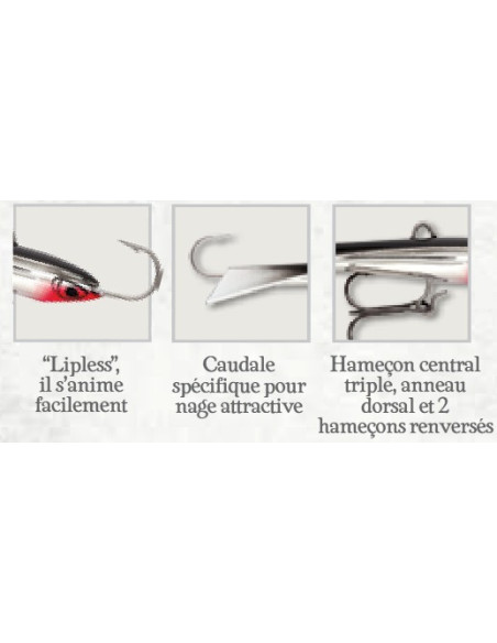 Rapala Jigs SNAP RAP - coloris - GYP - 6cm / 9g - profondeur de nage variable - 3
