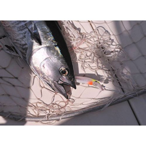 Rapala Leurres durs  HUSKY MAGNUM - coloris BSRD - 14cm / 36g - profondeur de nage 4.5m - 3