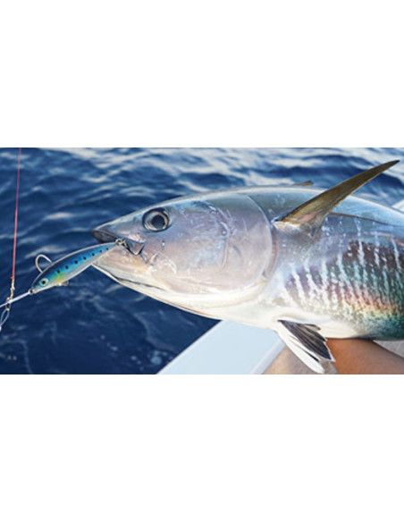 Rapala Leurres durs X-RAP LONG CAST SHALLOW - coloris ANC - 12cm / 36g - profondeur de nage : Variable - 3